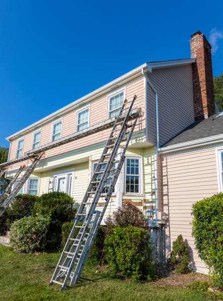 Best Custom Siding Design  in Highland Park, MI